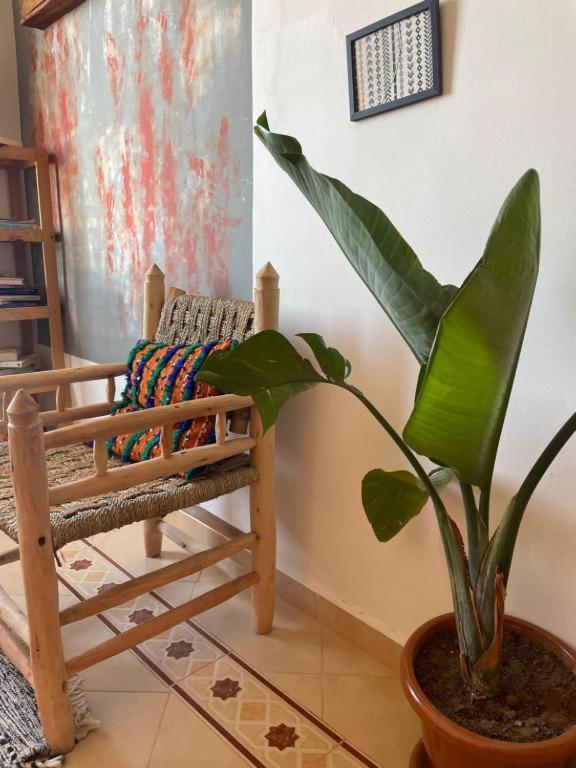 Surf Camp Essaouira Bed & Breakfast Exterior photo